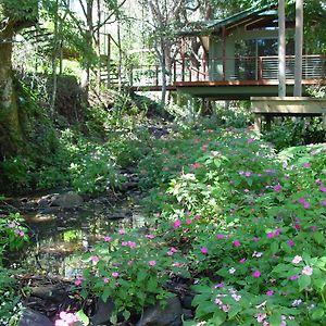 Treetops Montville